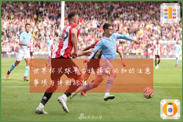 世界杯买球平台选择前必知的注意事项与评测标准
